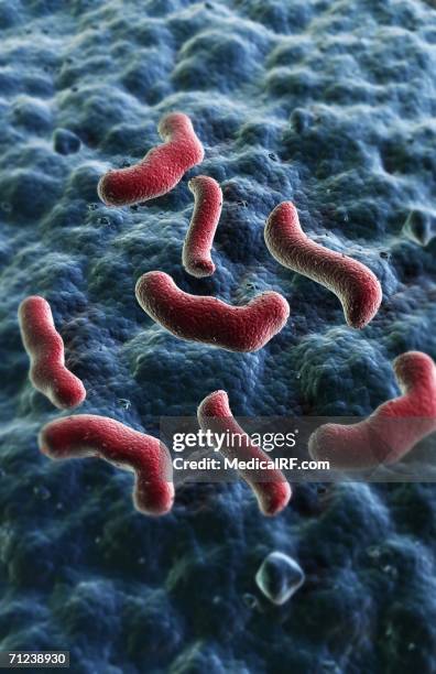 lumen bacteria - lumen bacteria stock illustrations