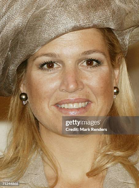 Dutch Crown Princess Maxima poses for a photo at the Royal Palace during a 3-day visit on June 20, 2006 in Belgium, Brussels.