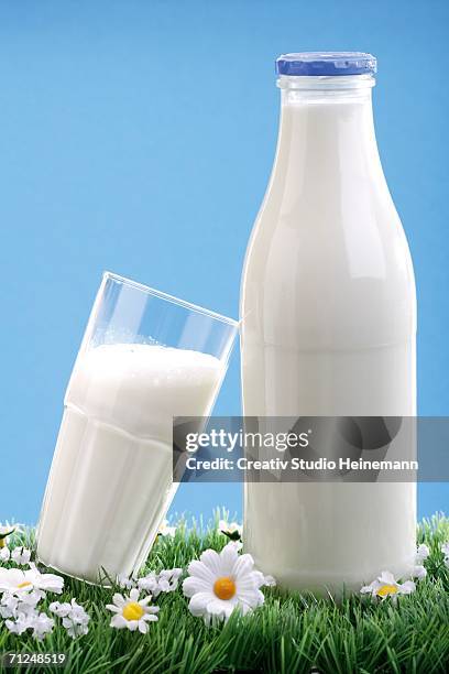 milk bottle and glass of milk, close-up - glass milk bottle stock pictures, royalty-free photos & images