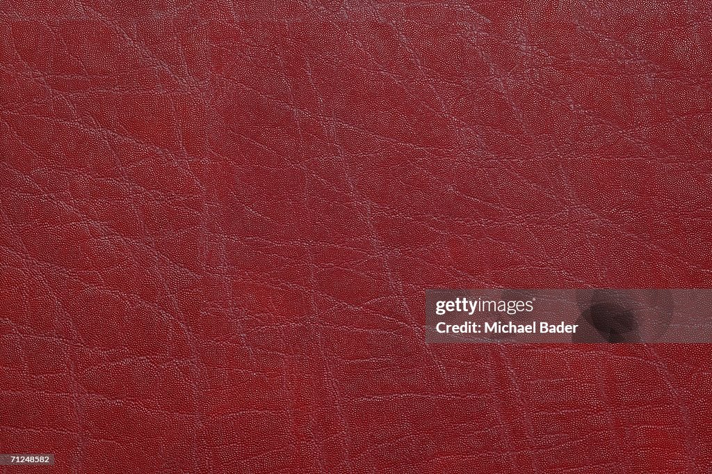 Red leather, full frame