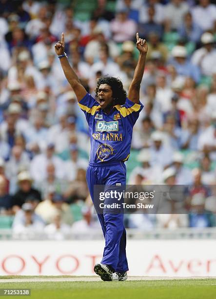 Lasith Malinga of Sri Lanka celebrates during the NatWest One Day International match between England and Sri Lanka at the Oval on June 20, 2006 in...