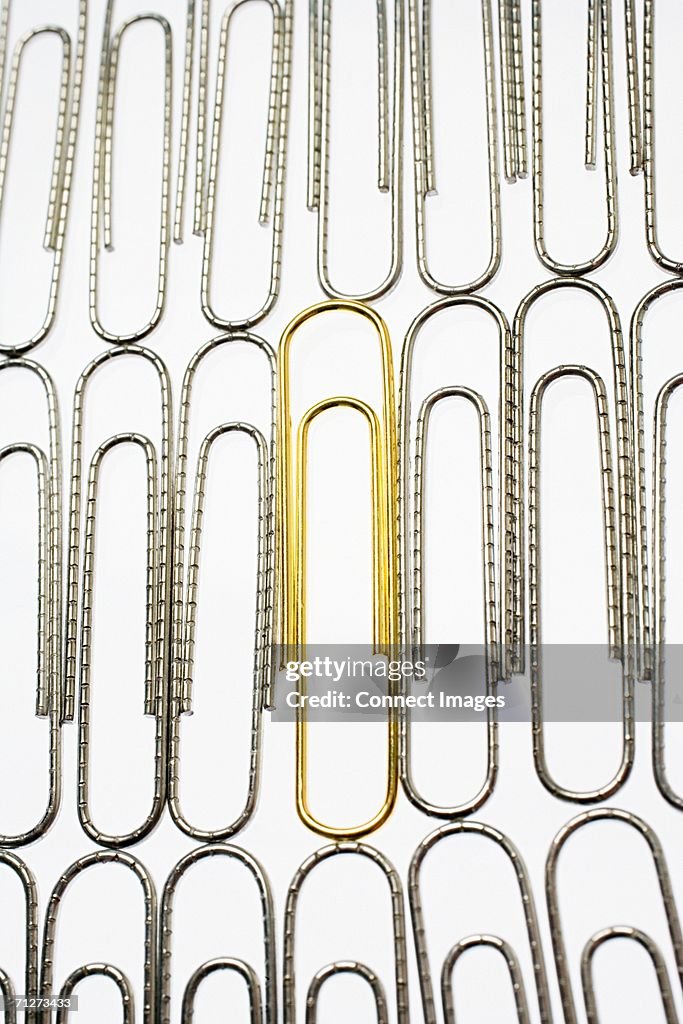 Golden paperclip amongst silver paperclips