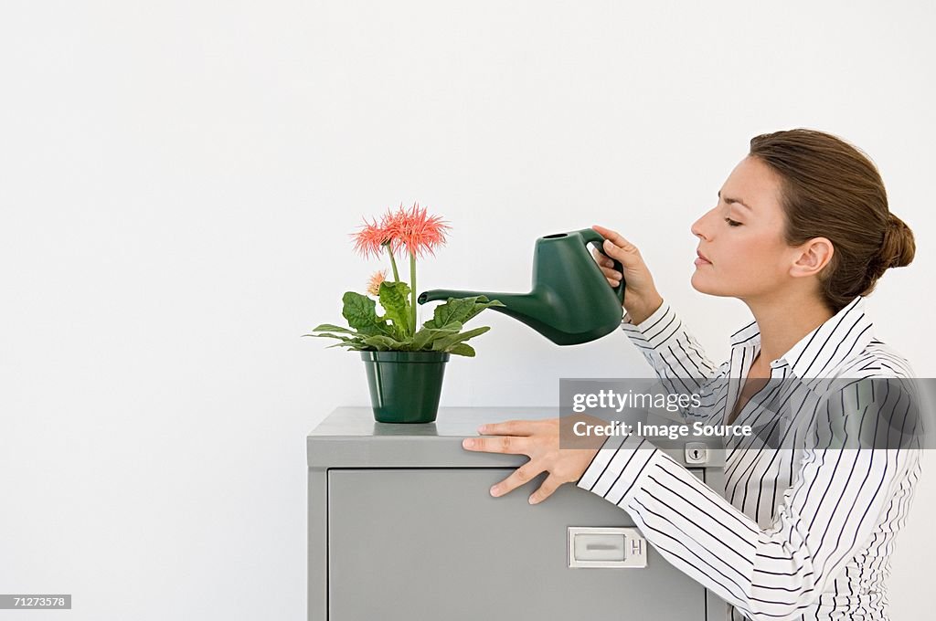 Businesswoman water a plant