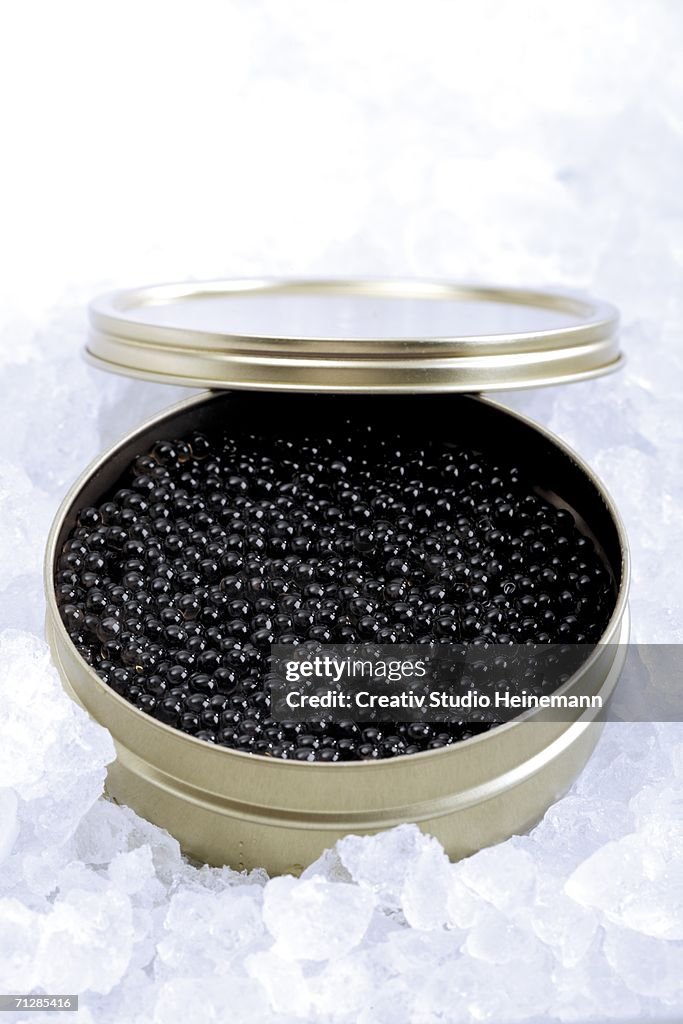 Beluga caviar in can