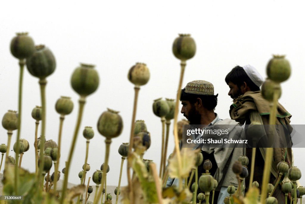 Peace Keeping Efforts in Afghanistan