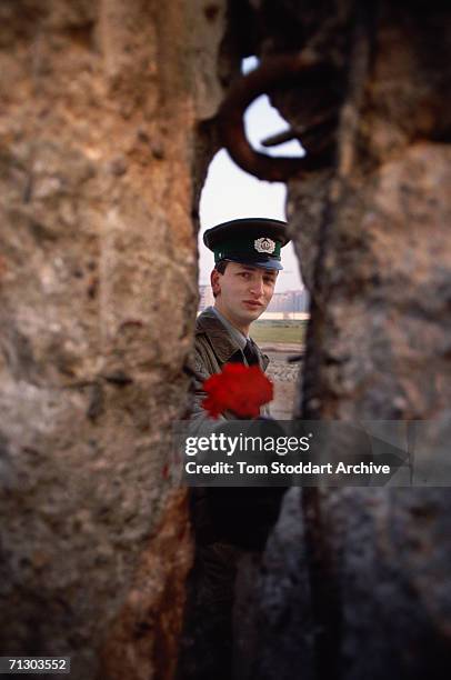 An East German border guard offers a flower through a gap in the Berlin Wall on the morning of November 10th 1989, when it fell.