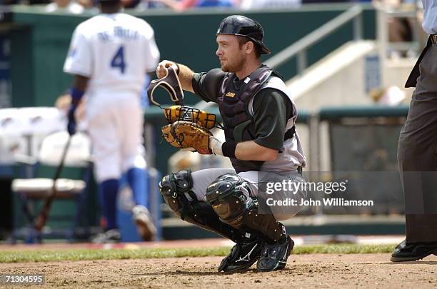 Catcher Josh Paul of the Tampa Bay Devil Rays looks to the field from his position behind home plate during the game against the Kansas City Royals...