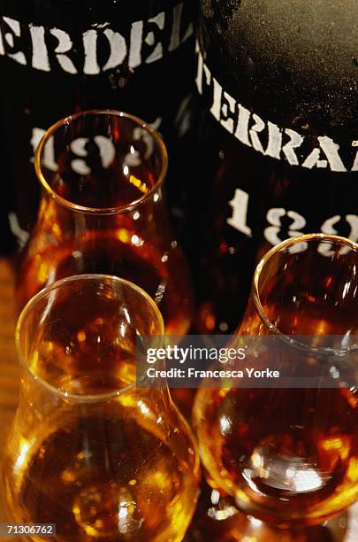 Wine making on the Atlantic Island of Madeira in August, 2005 in Madeira, Portugal. The grape vines grow on tiny terraces, called poios, which are...