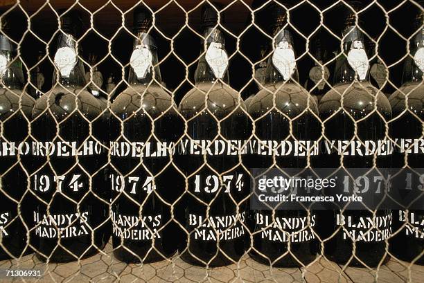 Wine making on the Atlantic Island of Madeira in August, 2005 in Madeira, Portugal. The grape vines grow on tiny terraces, called poios, which are...