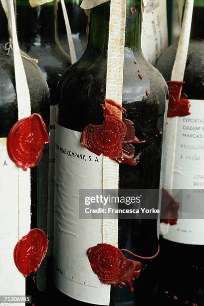 Wine making on the Atlantic Island of Madeira in August, 2005 in Madeira, Portugal. The grape vines grow on tiny terraces, called poios, which are...