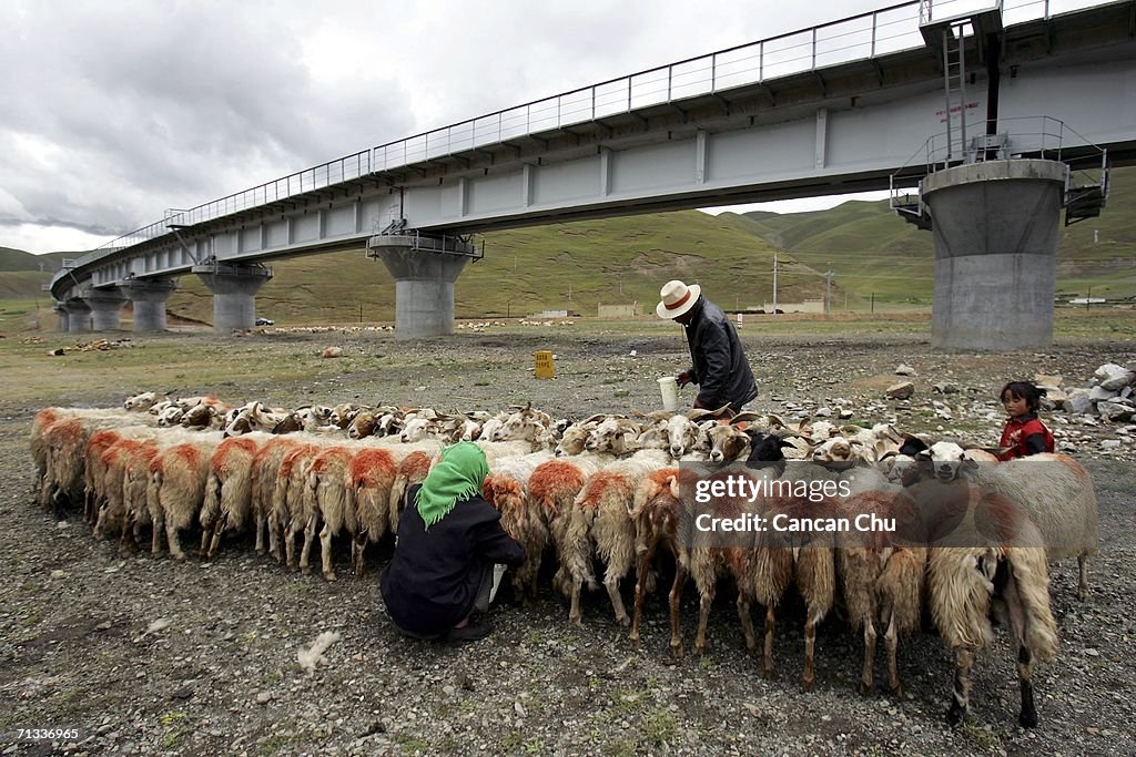 Qinghai-Tibet Railway Ready For Trial Operation