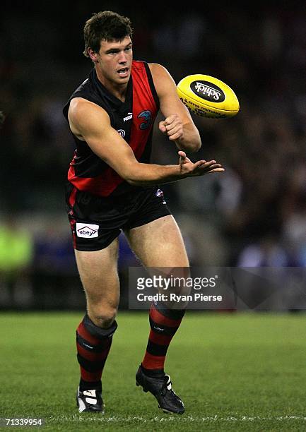 David Hille of the Bombers in action during the round thirteen AFL match between the Kangaroos and Essendon Bombers at the Telstra Dome on June 30,...