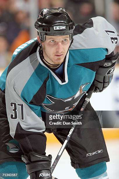 Grant Stevenson of the San Jose Sharks readies for a faceoff during a game against the St. Louis Blues on December 23, 2005 at the HP Pavilion in San...