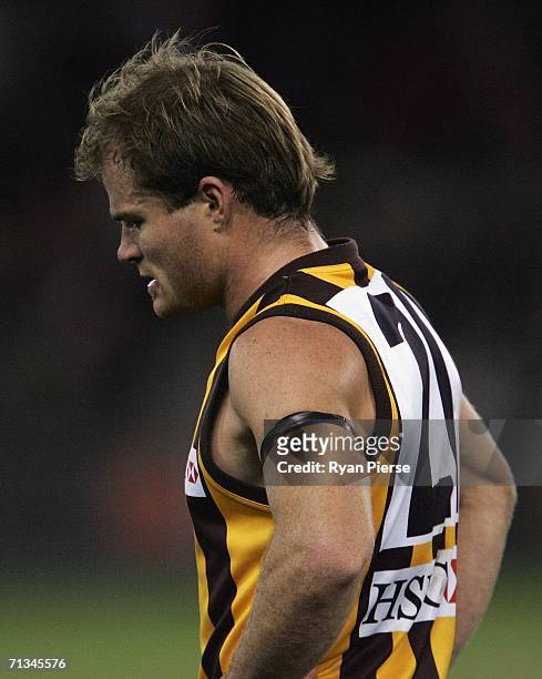 Richard Vandenberg of the Hawks looks dejected after the round thirteen AFL match between the St Kilda Saints and the Hawthorn Hawks at the Telstra...
