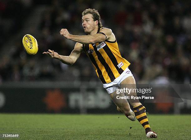 Richard Vandenberg of the Hawks in action during the round 13 AFL match between the St Kilda Saints and the Hawthorn Hawks at the Telstra Dome July...