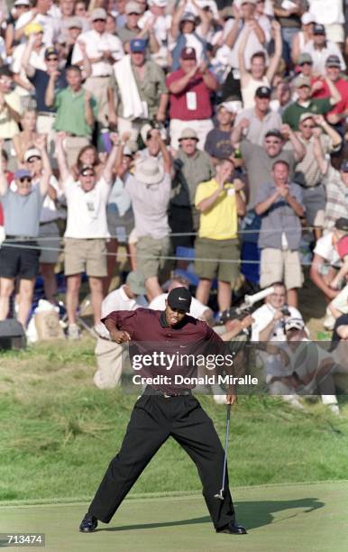 Tiger Woods celebrates making a difficult putt during the PGA Championship, part of the PGA Tour at the Valhalla Golf Club in Louisville,...