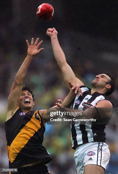 Darren Gaspar for Richmond and Anthony Rocca for Collingwood in action during the round 13 AFL match between Richmond and Collingwood at the...