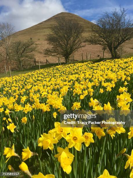 Becorns Spring 387 Brecon Beacons Spring Stock Photos, High-Res Pictures, and Images ...