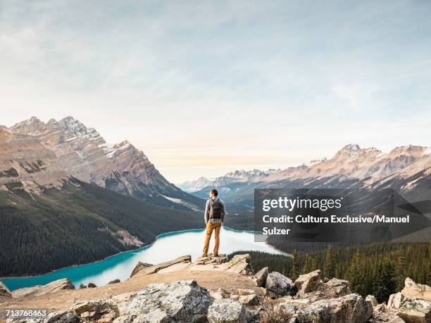 man standing, looking at view, viewpoint overlooking peyto lake, lake louise, alberta, canada - peytomeer stockfoto's en -beelden