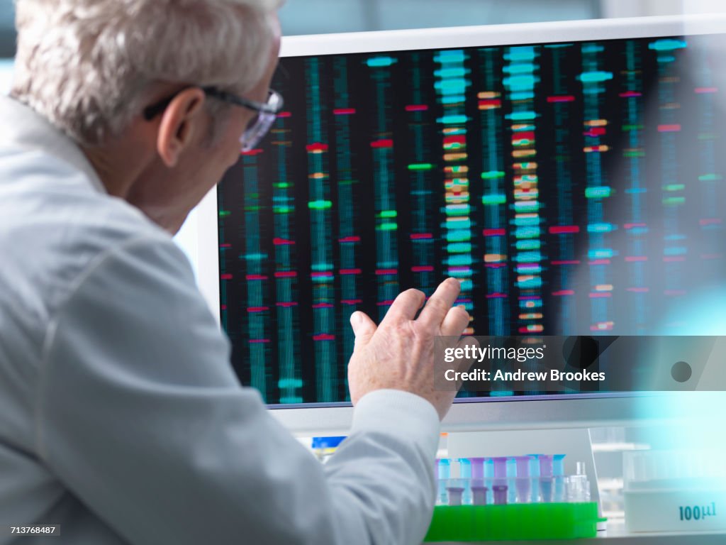Lab Computer Dna Dna Research Scientist Comparing Dna Results On A Computer Screen In ...