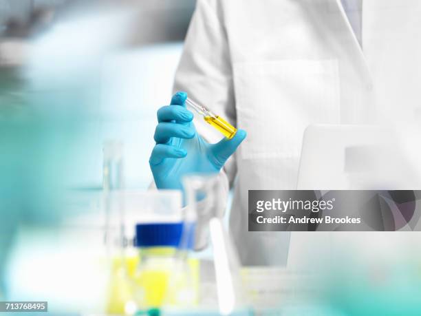 pharmaceutical research, doctor preparing a medicine phial for a medical trial - medical authority stock pictures, royalty-free photos & images