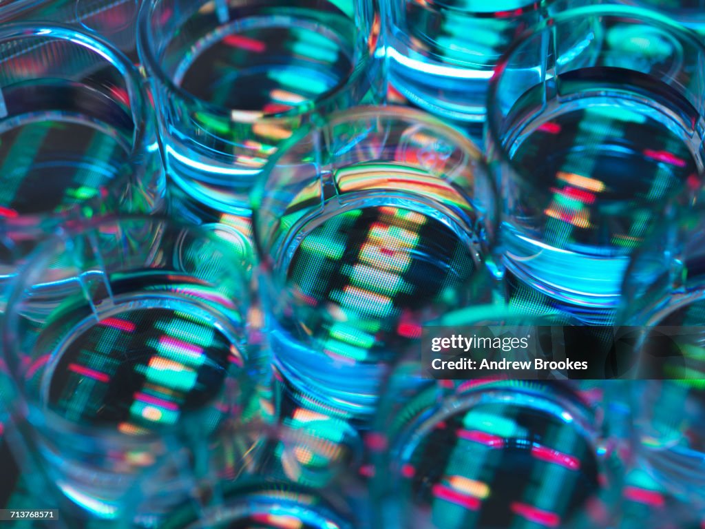 Genetic Research, A human sample in a multi well plate ready for genetic analysis with a DNA sequence in the background