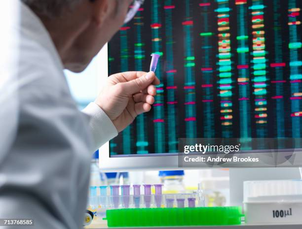 dna research, scientist holding up a dna sample with results on the computer screen - medical sample - fotografias e filmes do acervo