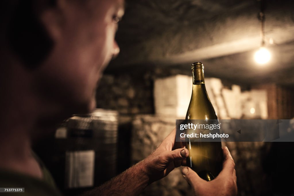 Winemaker gazing at wine bottle in cellar