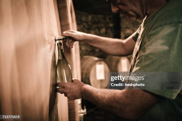 winemaker filling wine bottle from cellar barrel - wine barrel stock pictures, royalty-free photos & images