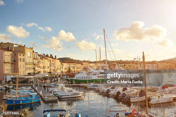view of harbour boats and waterfront, st tropez, cote dazur, france - saint tropez stock-fotos und bilder