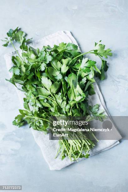 studio shot, overhead view of coriander bunch on napkin - koriander stock-fotos und bilder