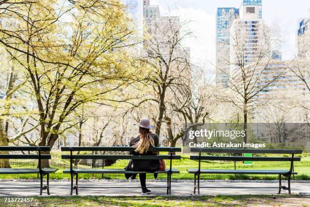 rear view of woman sitting on bench at central park in city - park bench stock pictures, royalty-free photos & images