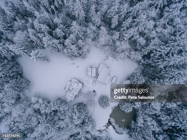 rural snow covered landscape, overhead view - bainbridge island 個照片及圖片檔