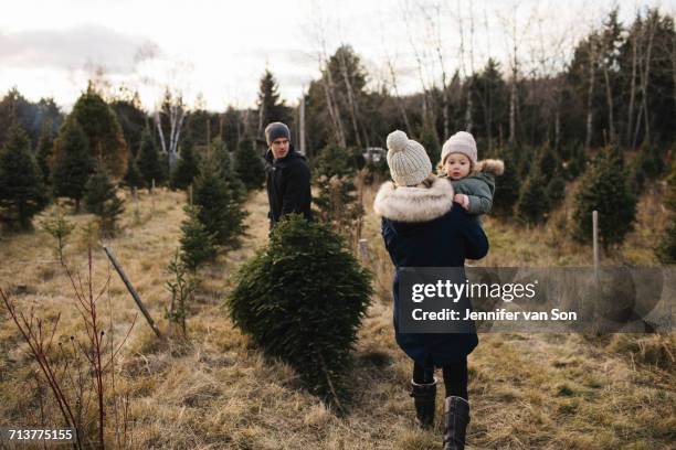 parents and baby girl in christmas tree farm, cobourg, ontario, canada - cobourg imagens e fotografias de stock