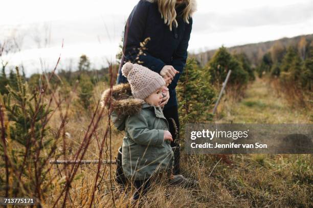 mother and baby girl in christmas tree farm, cobourg, ontario, canada - cobourg imagens e fotografias de stock