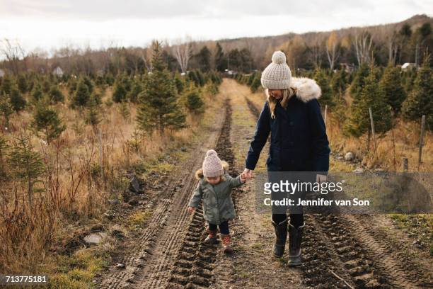 mother and baby girl in christmas tree farm, cobourg, ontario, canada - cobourg imagens e fotografias de stock