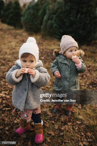 baby girls eating bread in forest - cobourg imagens e fotografias de stock