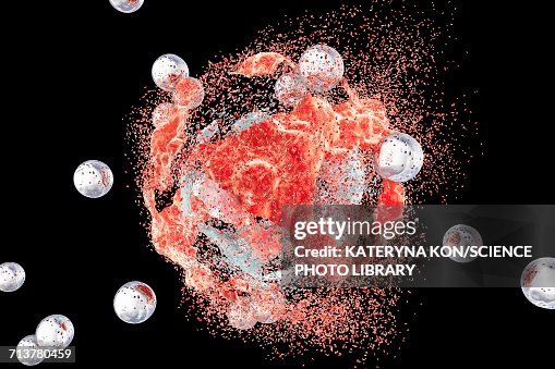 Destruction Of A Cancer Cell Illustration High-Res Vector Graphic ...