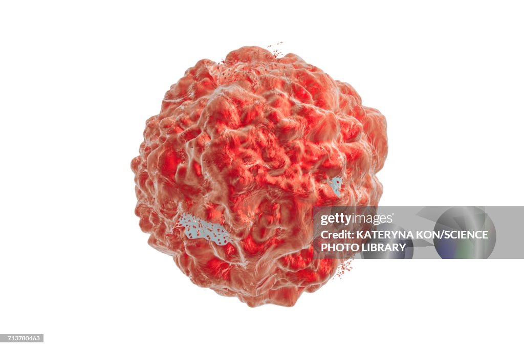 Destruction of a cancer cell, illustration