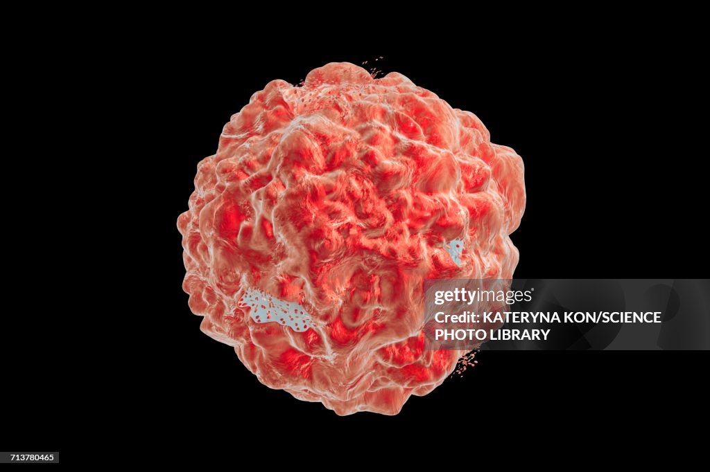 Destruction of a cancer cell, illustration