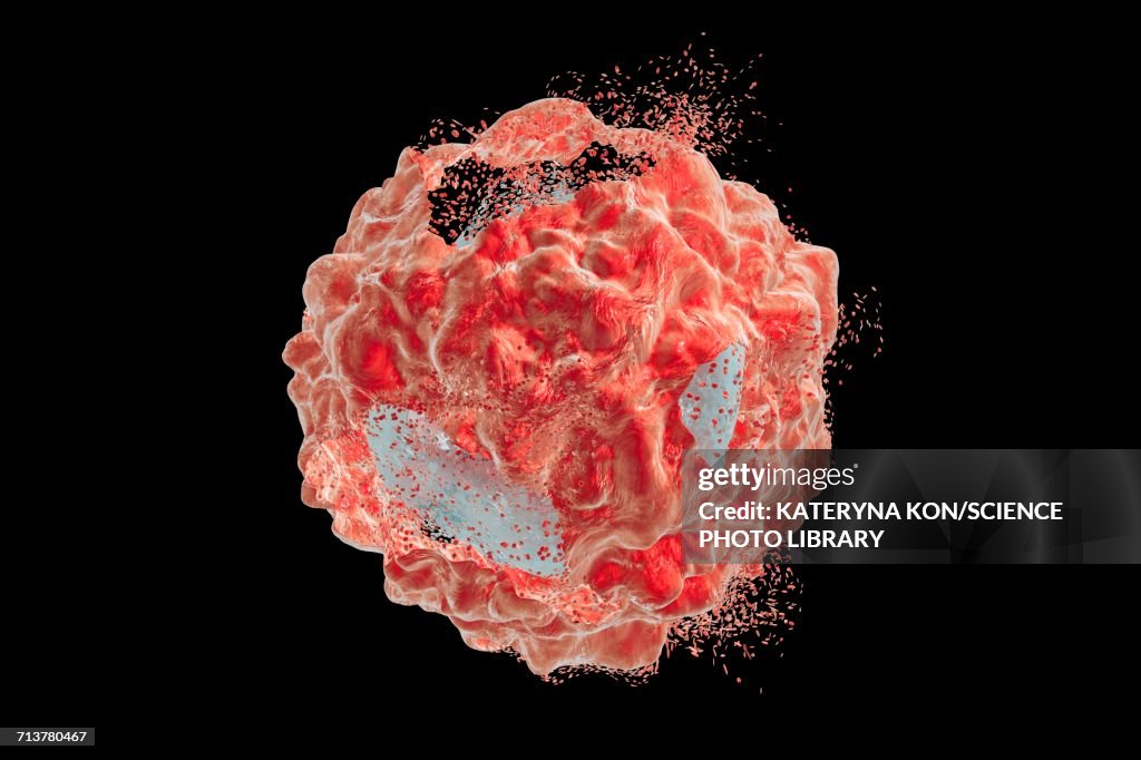 Destruction of a cancer cell, illustration