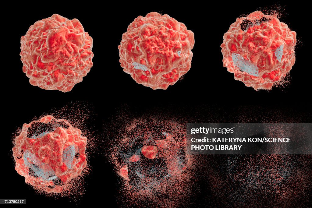 Destruction of a cancer cell, illustration