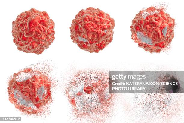 illustrations, cliparts, dessins animés et icônes de destruction of a cancer cell, illustration - cellule cancéreuse