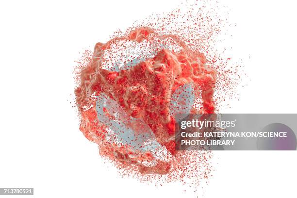 illustrations, cliparts, dessins animés et icônes de destruction of a cancer cell, illustration - nanoparticule