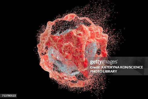illustrazioni stock, clip art, cartoni animati e icone di tendenza di destruction of a cancer cell, illustration - cancro tumore