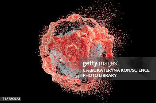 Destruction Of A Cancer Cell Illustration High-Res Vector Graphic ...