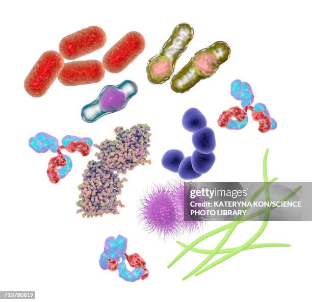 microbes and molecules, illustration - bacteria点のイラスト素材／クリップアート素材／マンガ素材／アイコン素材