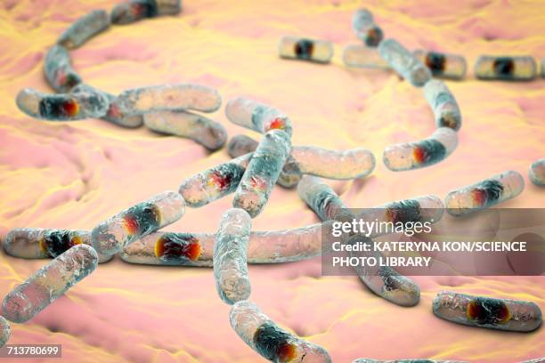 bacillus cereus bacteria, illustration - bacillus cereus 幅插畫檔、美工圖案、卡通及圖標