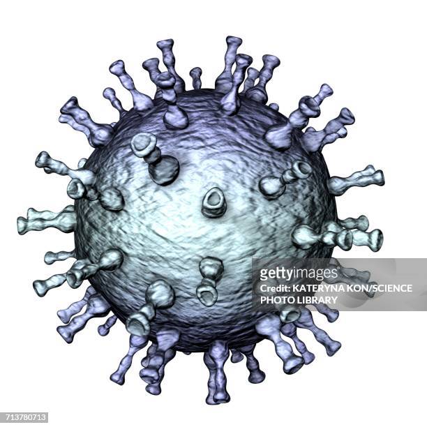 chickenpox virus particles, illustration - varicella zoster virus stock illustrations
