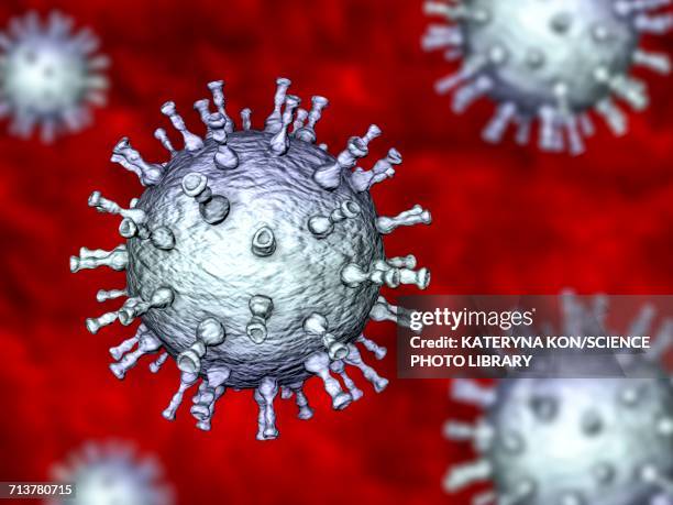chickenpox virus particles, illustration - varicella zoster virus stock illustrations